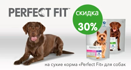 Скидка 30% на сухиe рационы Perfect Fit для собак
